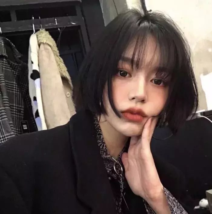 天网狼蛛